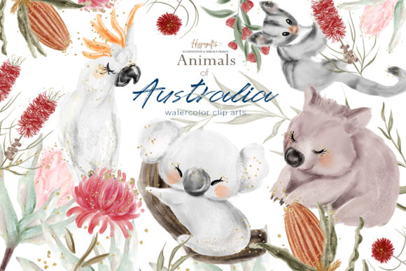 Australia Animals Illustration Transforms Brand Identity